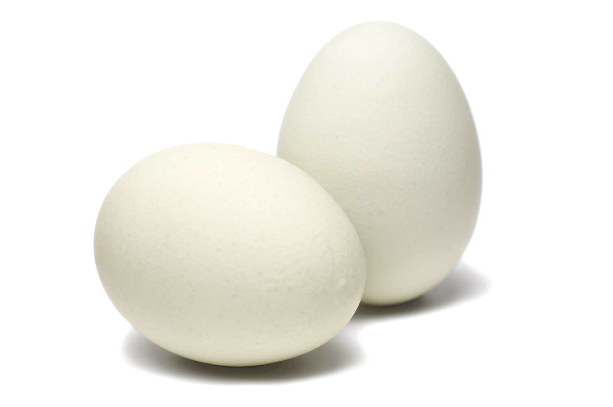 Dos huevos blancos.